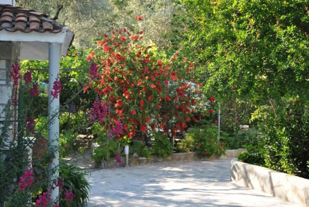 Stelios Studios Megali Ammos  Exterior foto